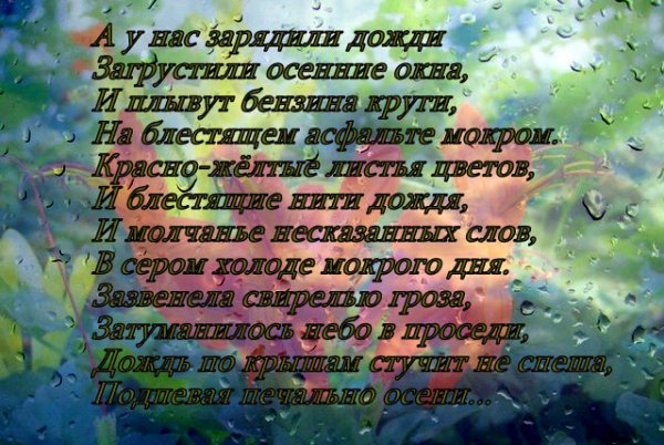 Дожди: стихи