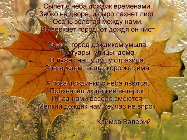 Стих про осенний дождик