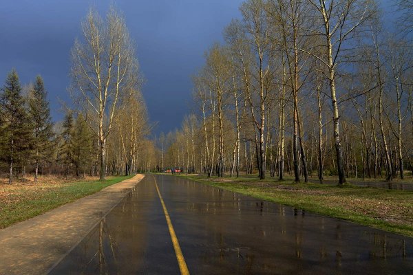 Майский ливень