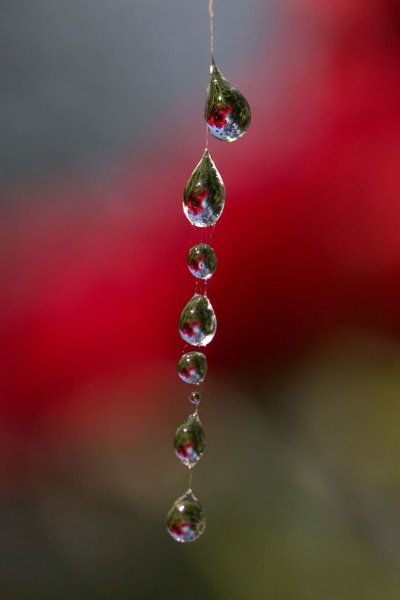 Капли воды