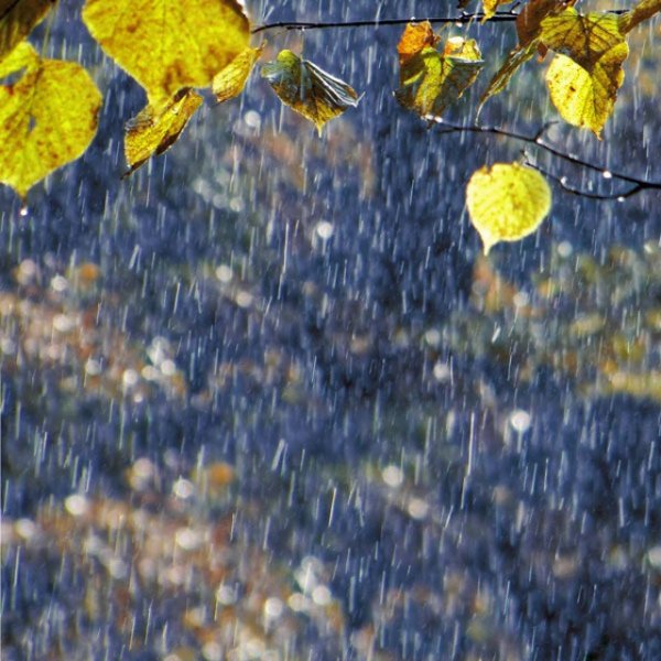 Осенний дождь