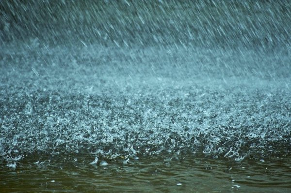 Дождь фото