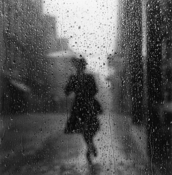 Дождь силуэт