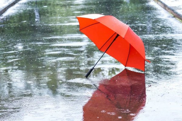 Штормовое предупреждение