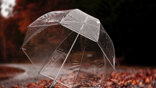 Осень дождь