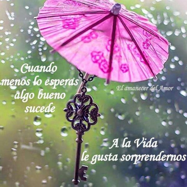 Зонтик счастья