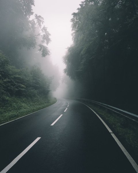 Туман дорога фото