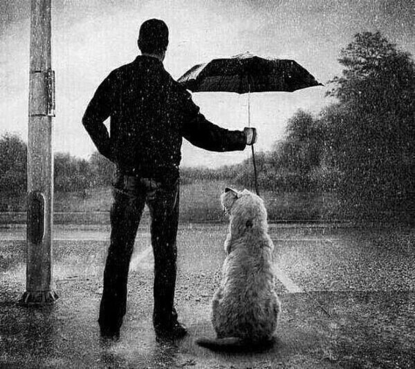 Мальчик с собакой под дождем