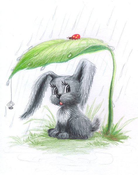 Заяц под дождем