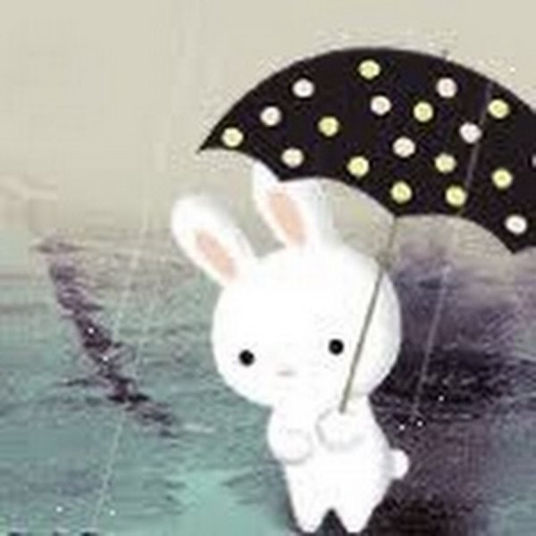 Зайчик и дождь
