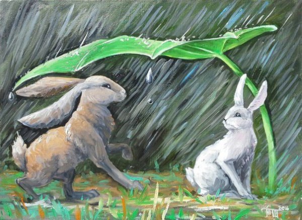 Кролик под дождем