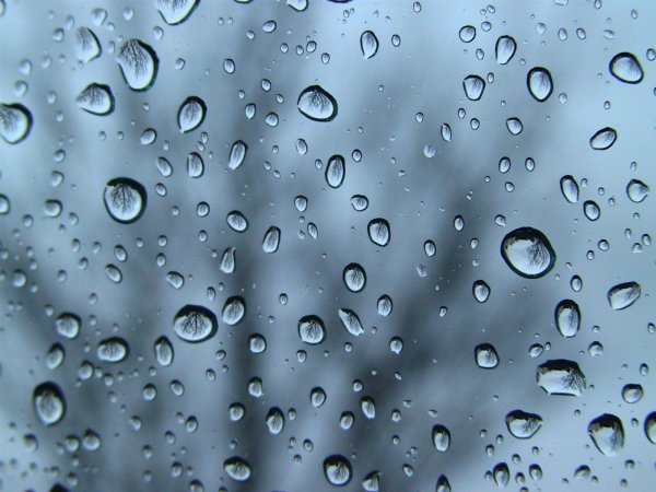 Капли на стекле