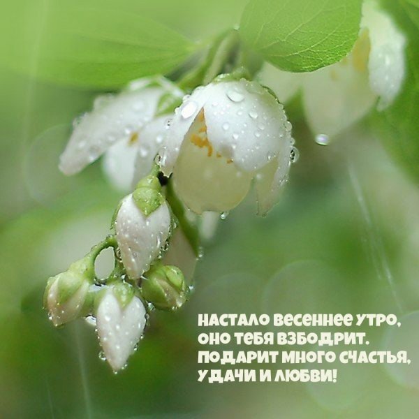 С добрым апрельским утром