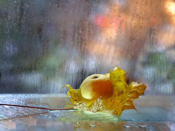 Натюрморт с дождем