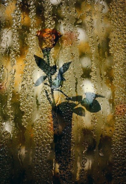 Дождливое окно