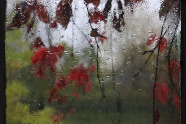 Дождливое осеннее окно