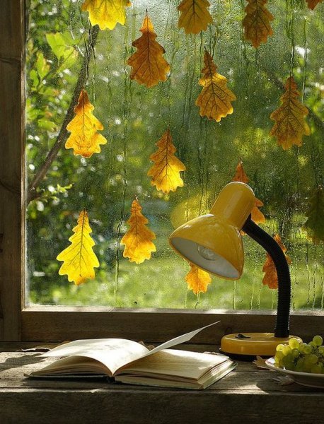 Листья на окна