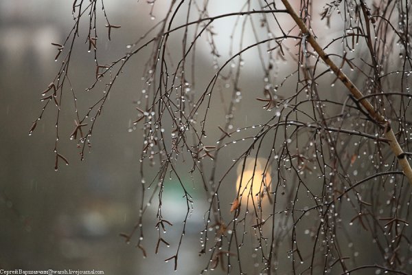 Дождь за окном