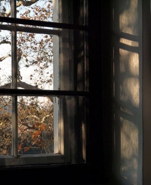 Мрачный вид из окна