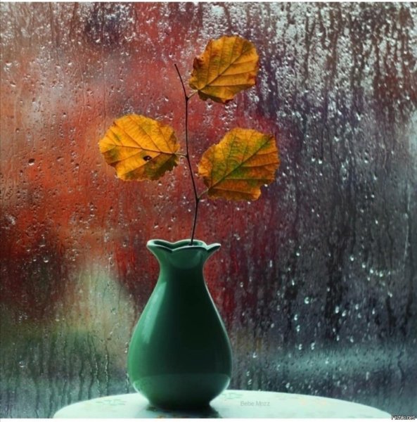 Грустная осень за окном