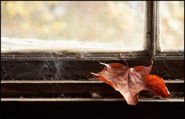 Грустная осень за окном