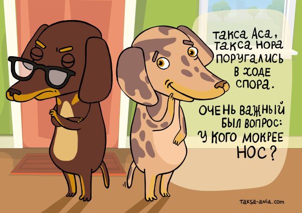 Такса Аня