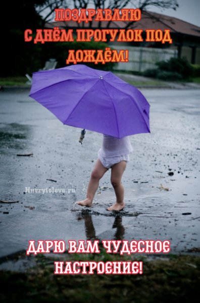 День прогулокплд дождем