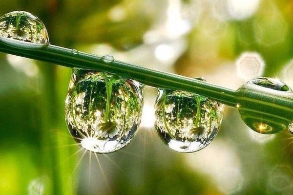 Отражение в капле воды