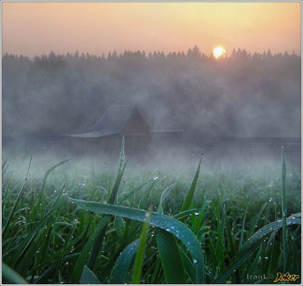 Раннее утро