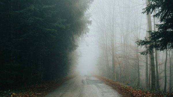 Природа туман