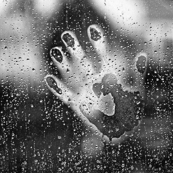 Ладонь на стекле