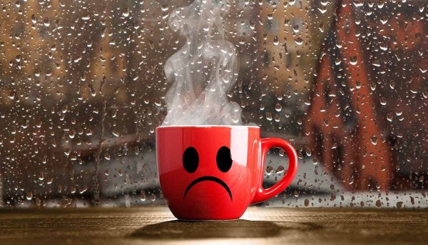 Доброе дождливое утро