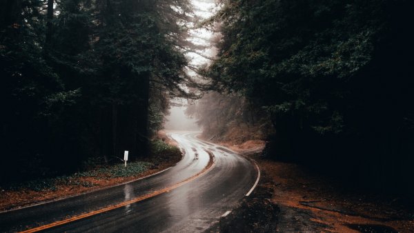 Обои дорога