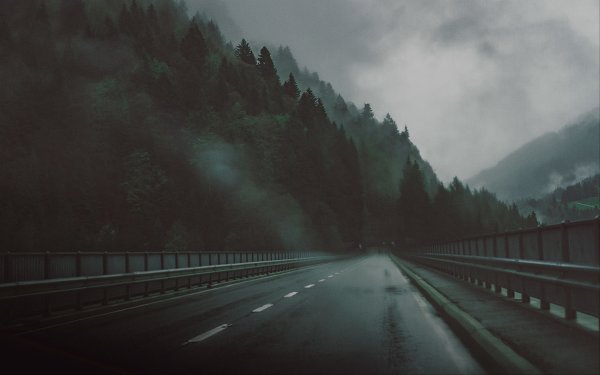 Лес дождь туман