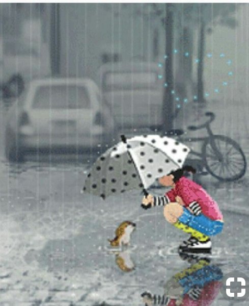 Дождливый привет