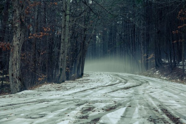 Поздняя осень дорога в лесу