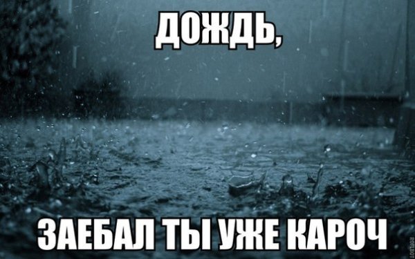 Мемы про дождь