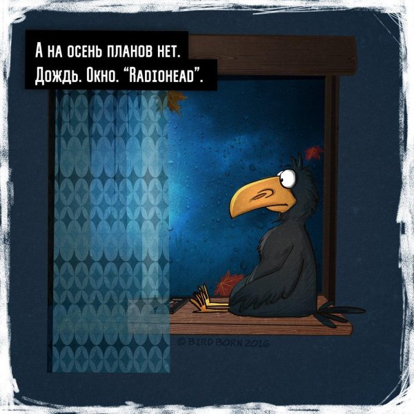 Приколы про дождливую осень