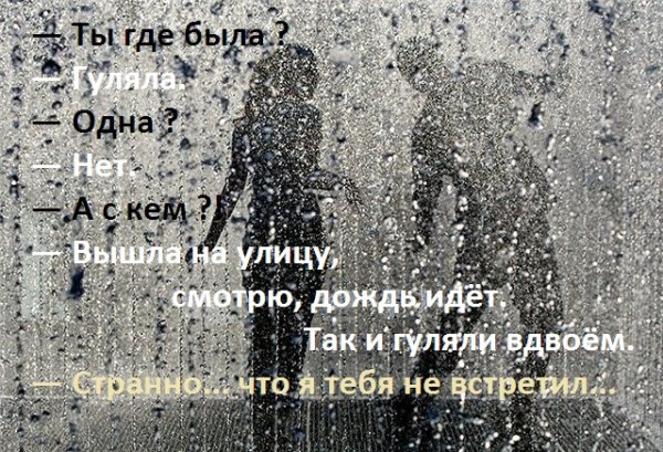 Люблю дождь стихи