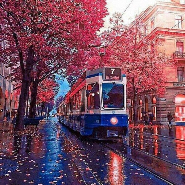 Цюрих осенью