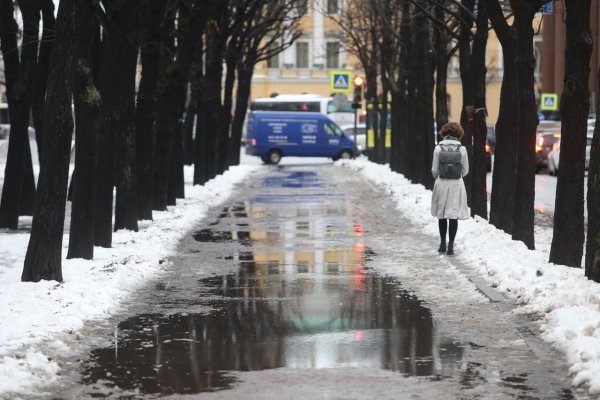 Дождь в феврале