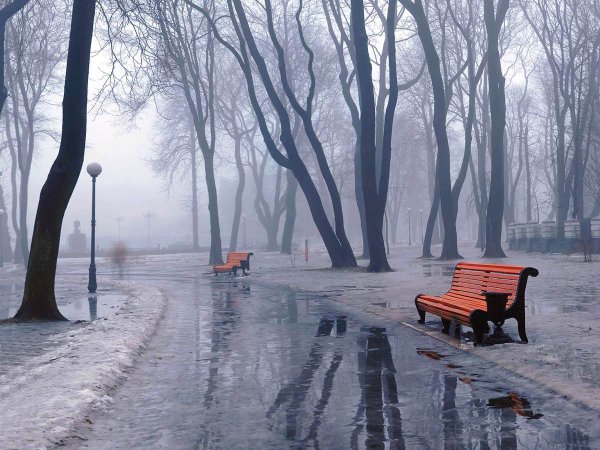 Холодная дождливая осень