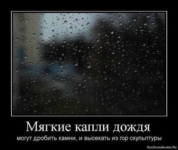 Прикольные фразы про дождь