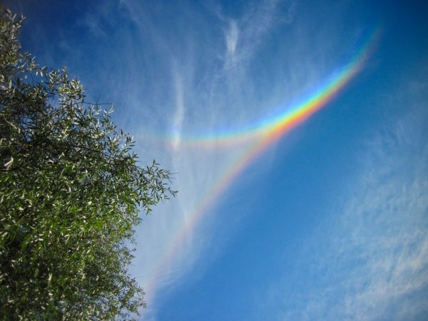 Радуга без дождя