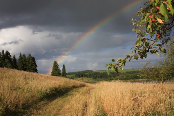 Конец радуг