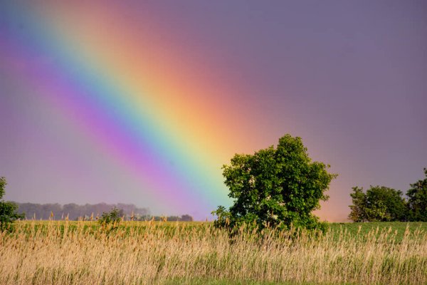 Красивое небо с радугой