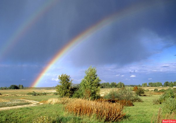 Радуга над лугом