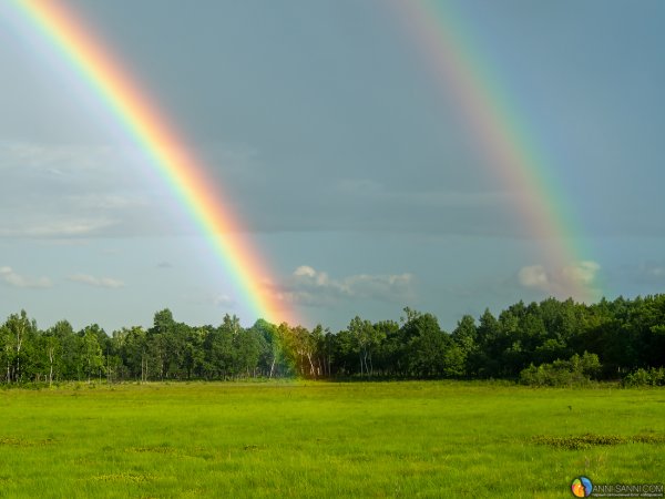 Радуга настоящая