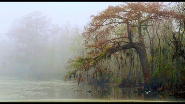 Болото дождь