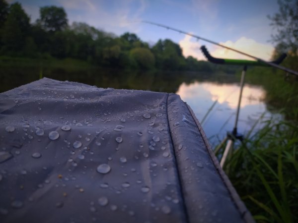 Дождь Болотная